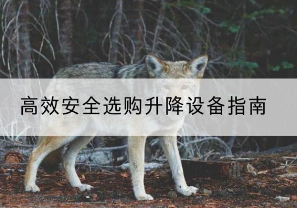 吴川升降货梯厂家推荐-*安全选购升降设备指南