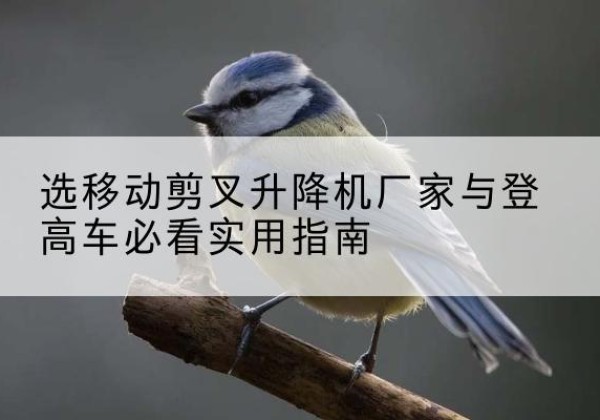 吴川电动升降机厂家-选移动剪叉升降机厂家与登高车必看实用指南