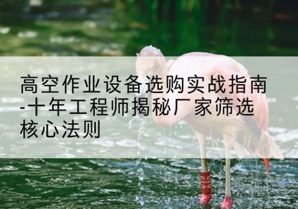 吴川剪叉式升降机厂家-高空作业设备选购实战指南-十年工程师揭秘厂家筛选核心法则